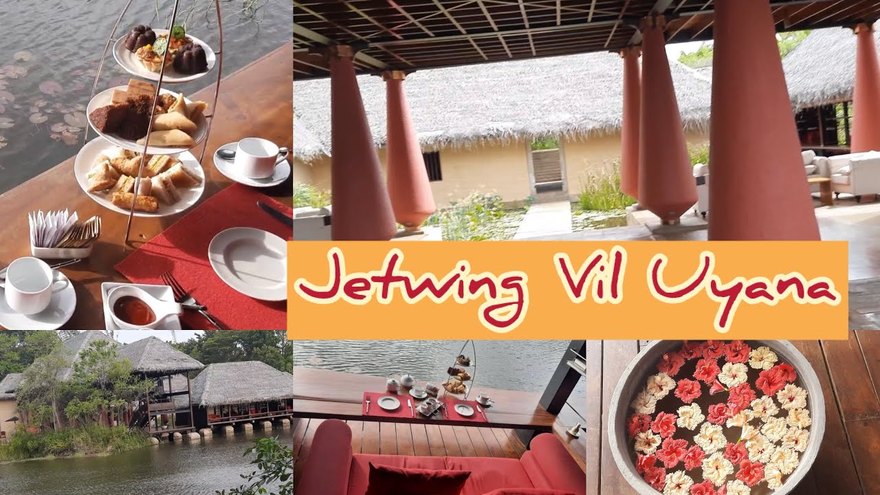 Jetwing Vil Uyana Experience 🐒🦋🐘| Nature, Luxury & Calm