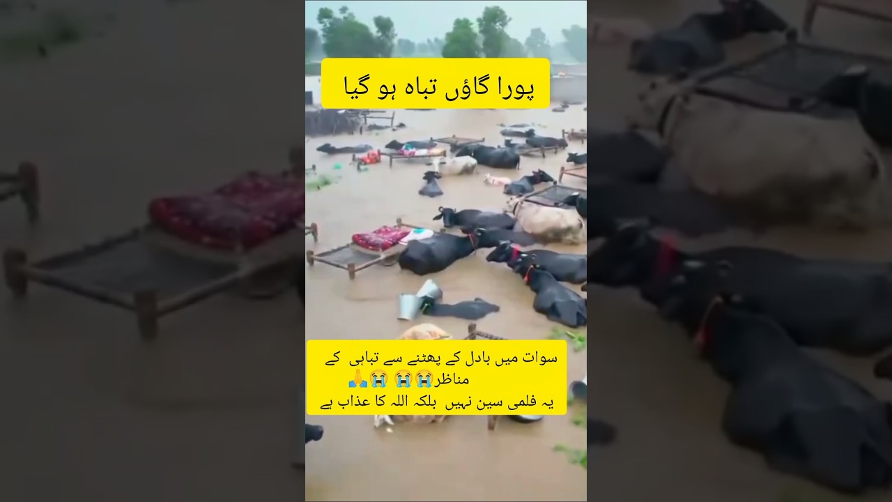 Cloudburst in Swat 2025😭😭 Deadly Flash Flood After Heavy Rains#swatflood #cloudburst #shorts #viral