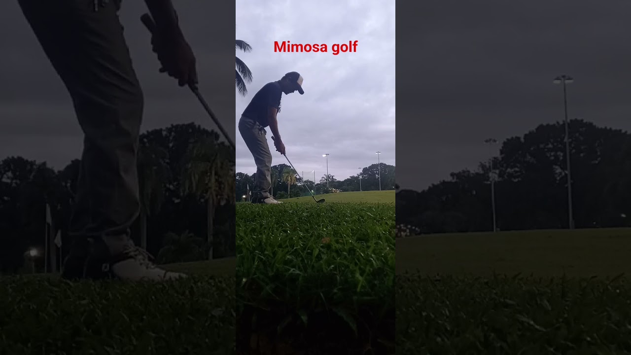 mimosa golf cours clark Angeles
