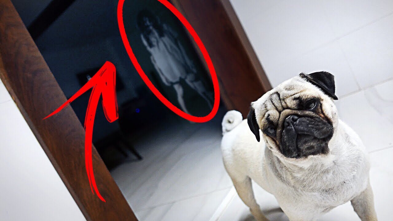 NUNCA GRAVE AS 3 HORAS DA MADRUGADA
