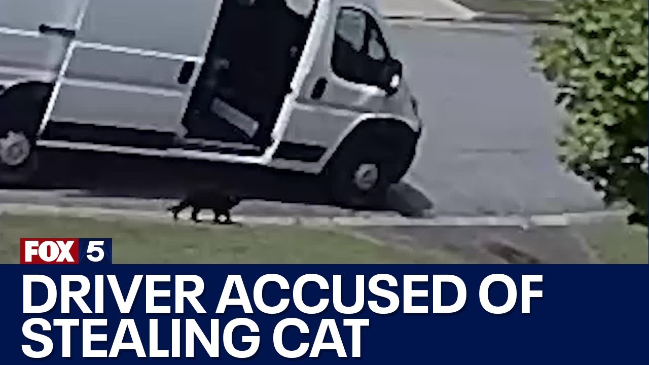 Amazon driver accused of stealing cat | FOX 5 News