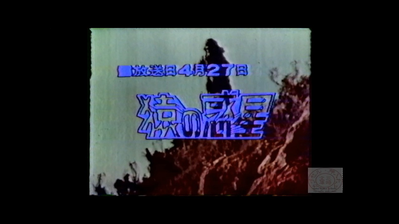 水曜ロードショー_猿の惑星19830316