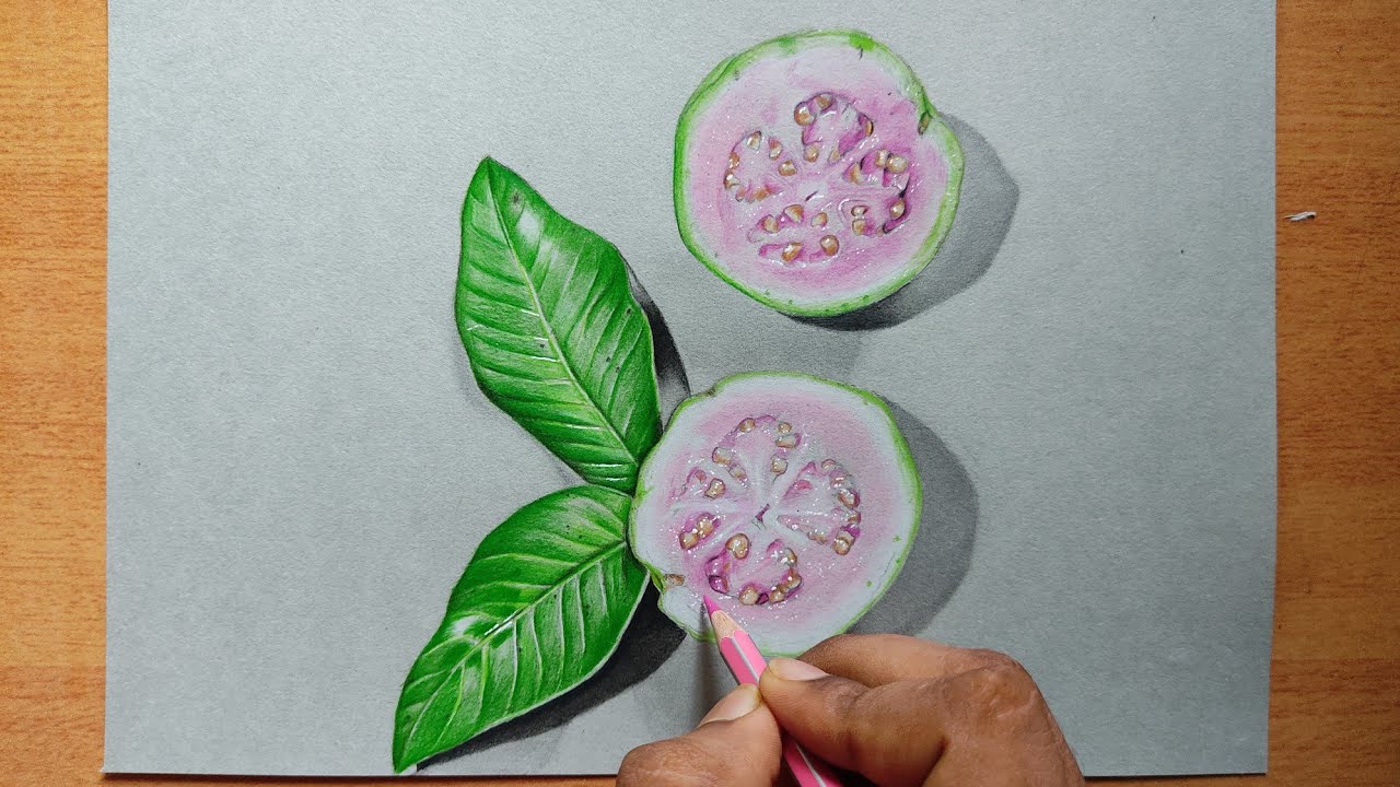 | Realistic guava drawing || |How to draw guava in 3D || coloured pencil drawing|