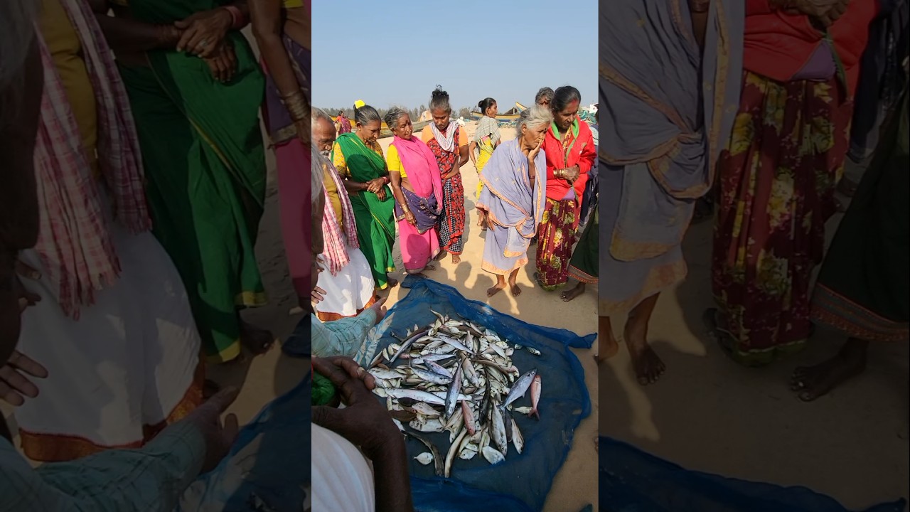 Vizag Fishing market