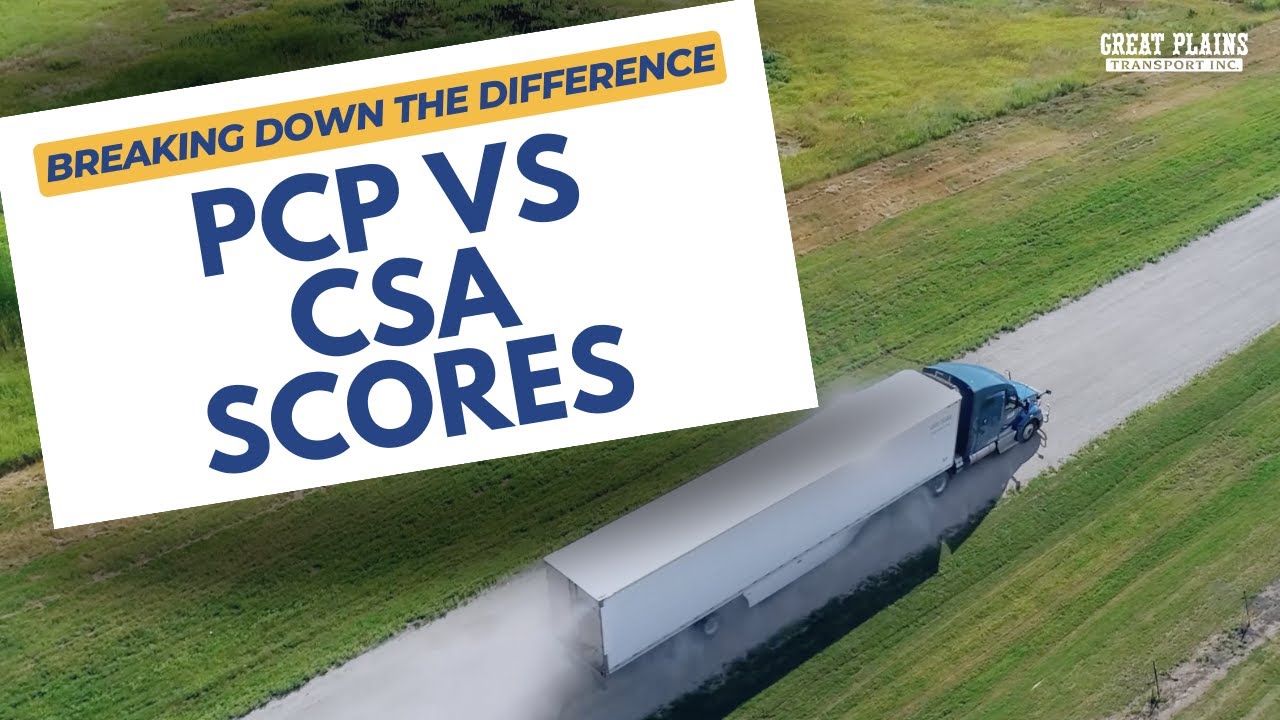 Uncovering the Differences: PSP Score VS CSA Score