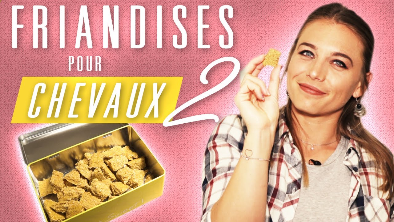 DIY FRIANDISES SAINES pour chevaux - ULTRA SIMPLES, TOTALEMENT VALIDES