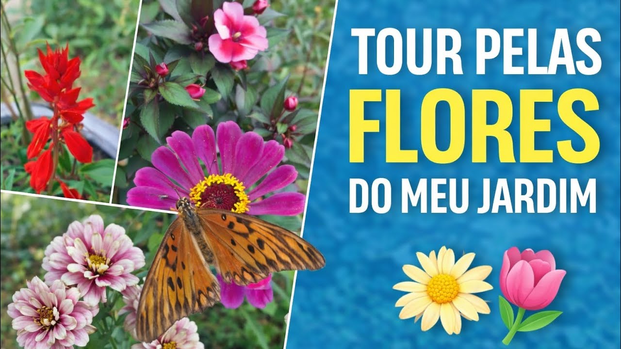 Tour pelas flores do meu Quintal