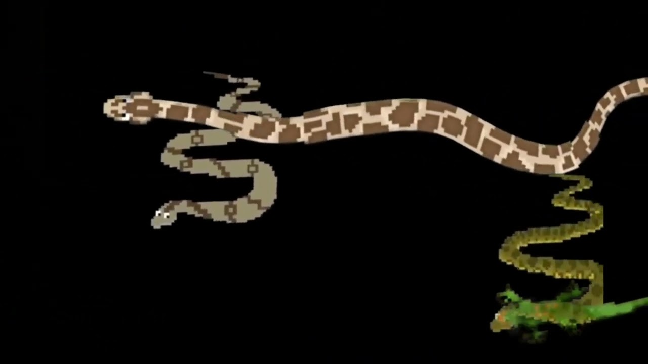  @TheKidsPictureShow reptiles 