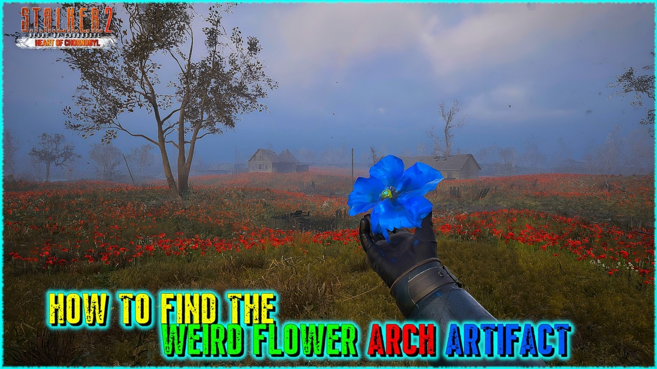 Stalker 2: Unique Arch Artifact 