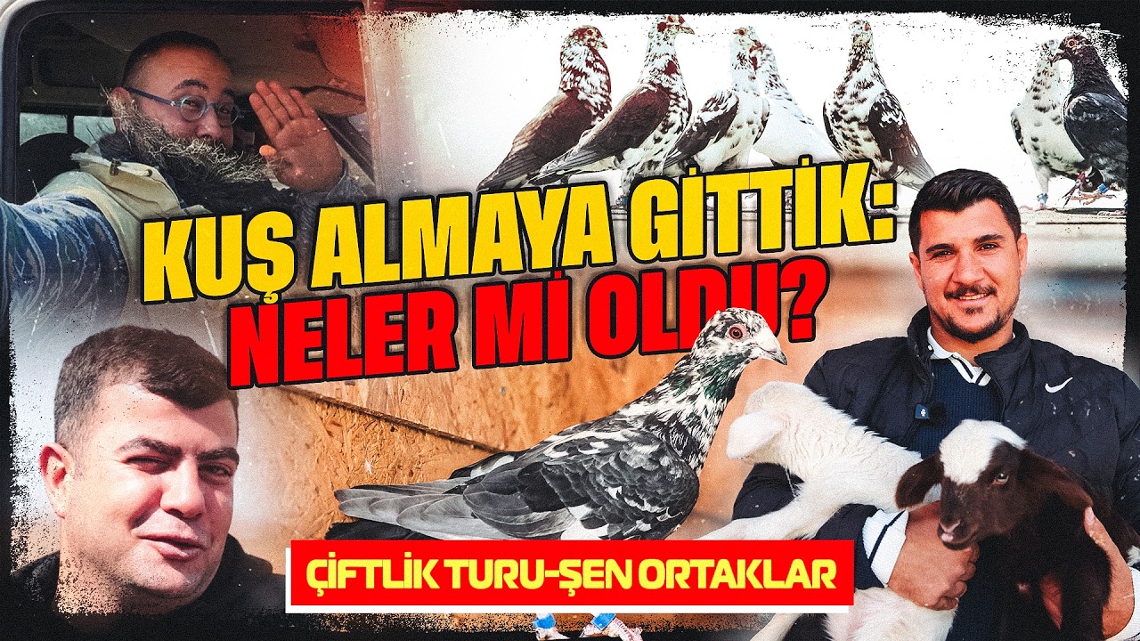 Kuş Almaya Gittik: Neler mi Oldu? Şen Ortaklar | Resul&Emrah
