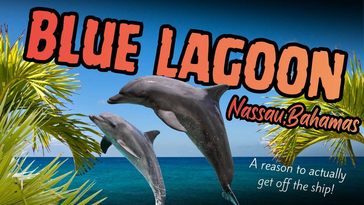 Liberty Of The Seas -Blue Lagoon,  Dolphins, Sea Puppies, Pier Runners & More - A Cruise Travel Vlog