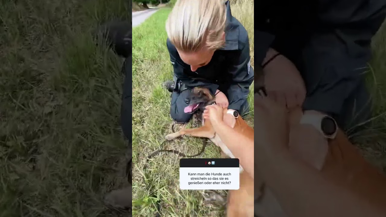 „Darf man die auch streicheln?“
