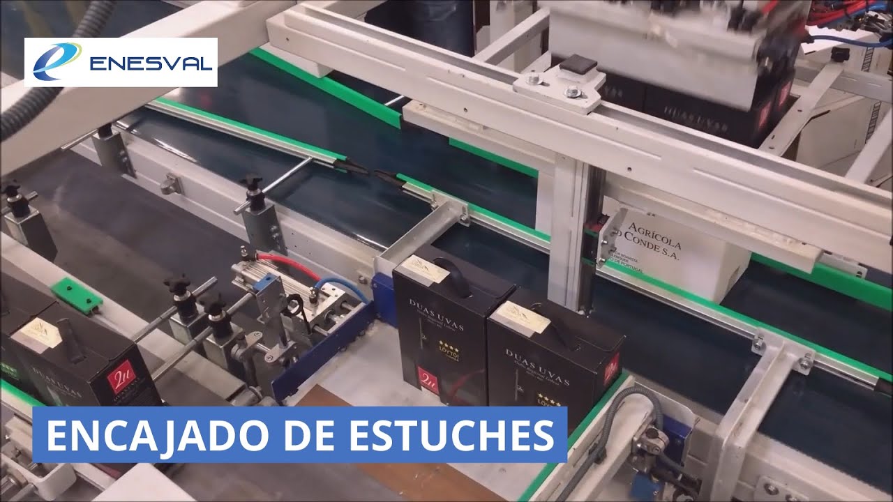 Linea de encajado con robot paletizador de cajas de vino - Enesval