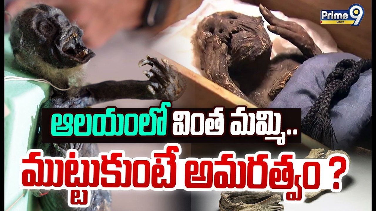 ఆలయంలో వింత మమ్మి..ముట్టుకుంటే అమరత్వం ? | 300 Year old Mermaid Mummy