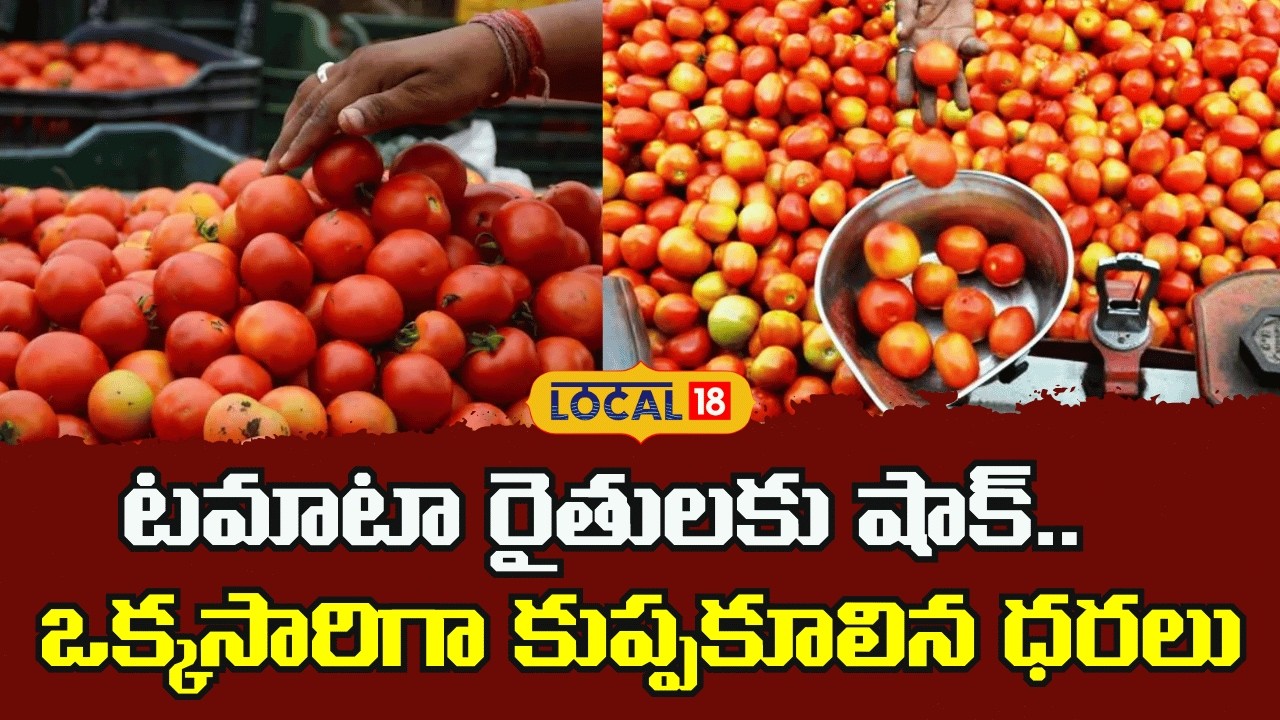 Tomato Rates Drop Heavily in Markets | టమాటా రైతులకు షాక్.. ఒక్కసారిగా కుప్పకూలిన ధరలు | #local18v