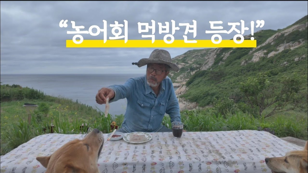 15분 만에  갯바위 농어낚시 두 마리 히트! 먹방견 황도·달래의 농어회 시식회