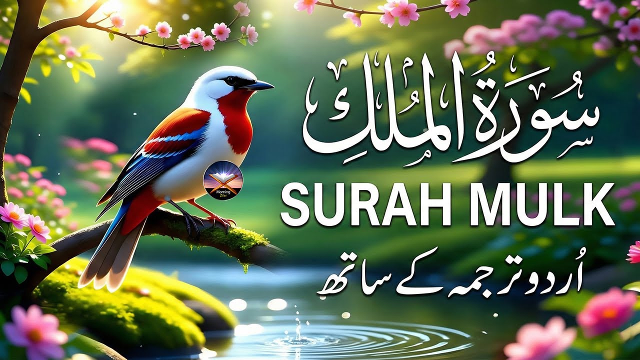 Surah Al-Mulk سورة الملك | Heart-Calming Lofi Quran for Sleep and Inner Peace 