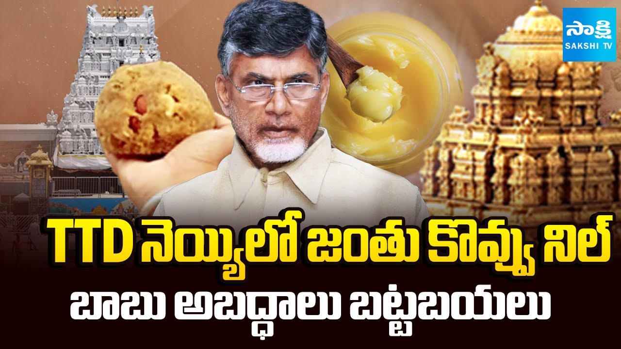 లడ్డూ దుష్ప్రచారానికి బ్రేక్‌ |CBI Sheet & Lab Report Bust Chandrababu False Propaganda on TTD Laddu