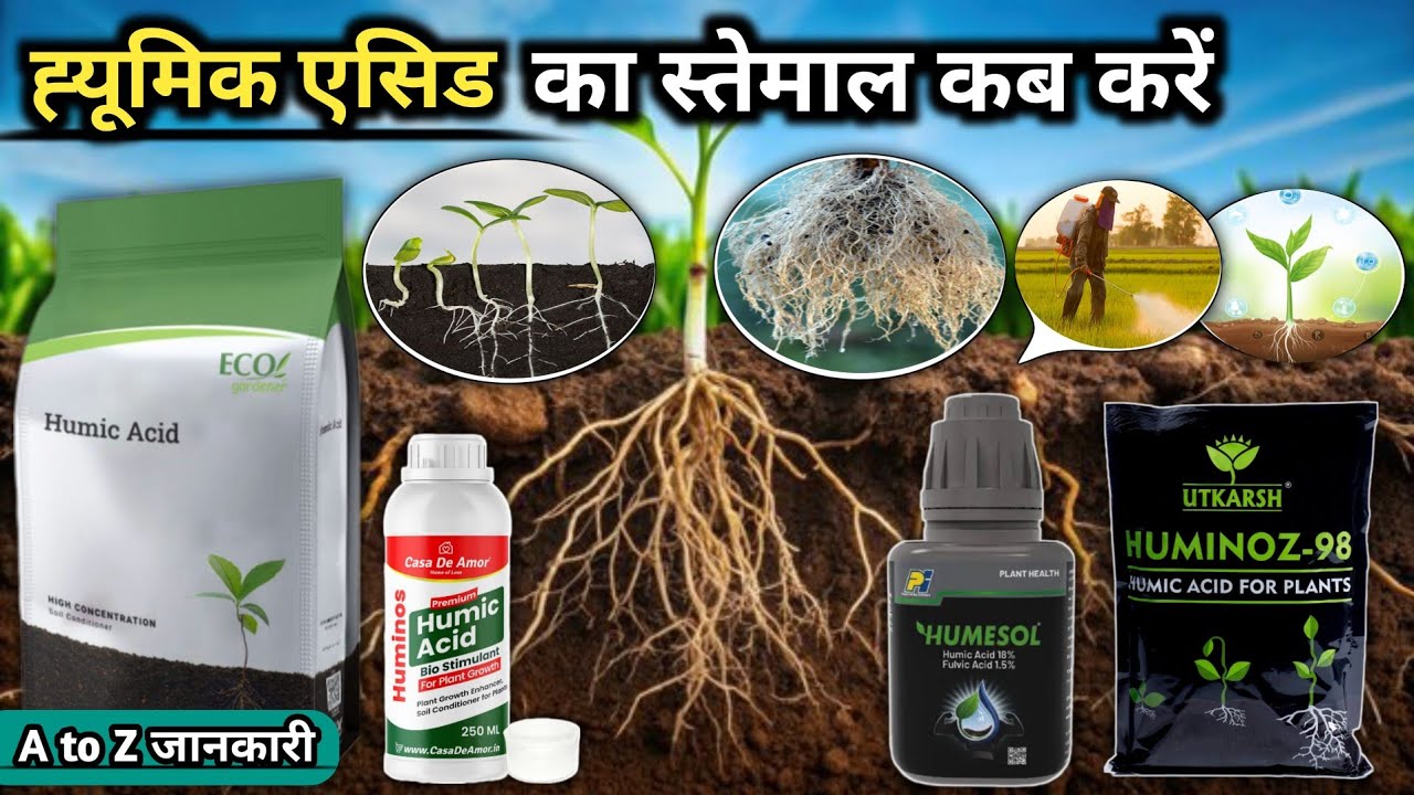 ह्यूमिक एसिड के फायदे | humic acid fertilizer | humic acid 98% | humic acid liquid | humic acid |