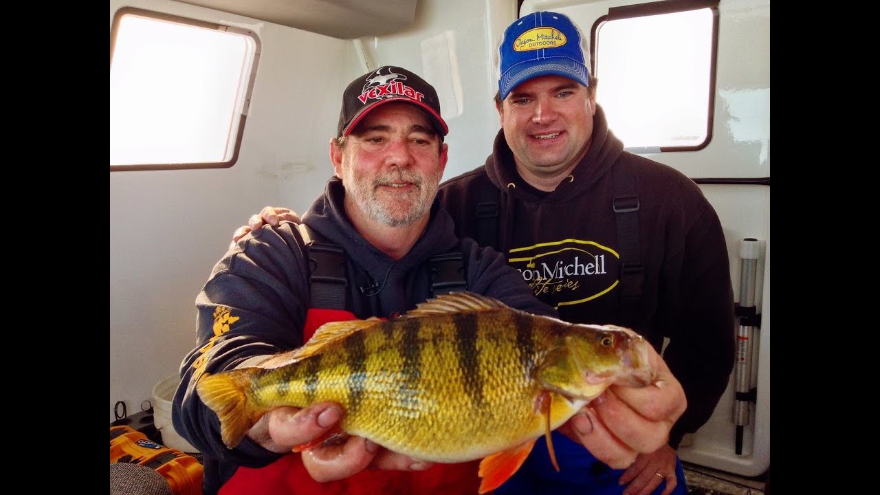 Epic Perch Bite on Devils Lake