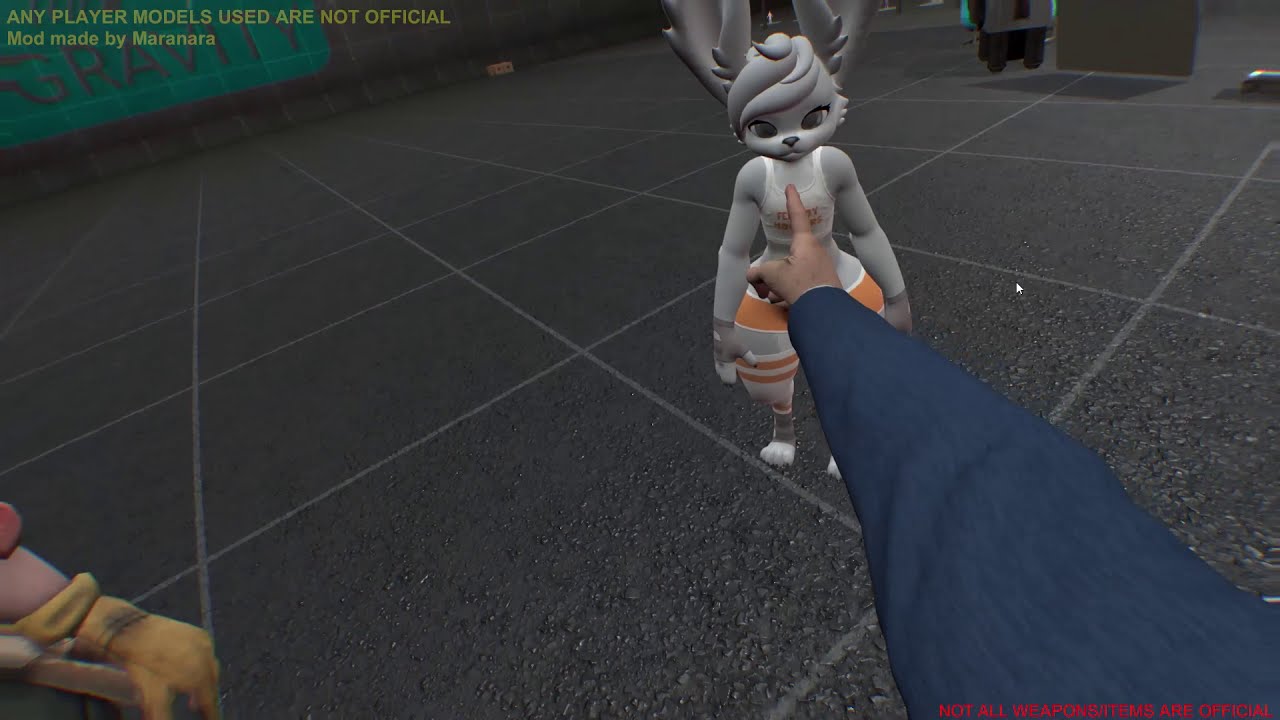 Boneworks but i got a furry