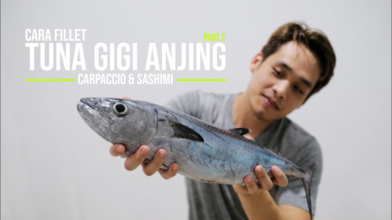 CARA FILLET IKAN TUNA [ SASHIMI DAN CARPACCIO ]