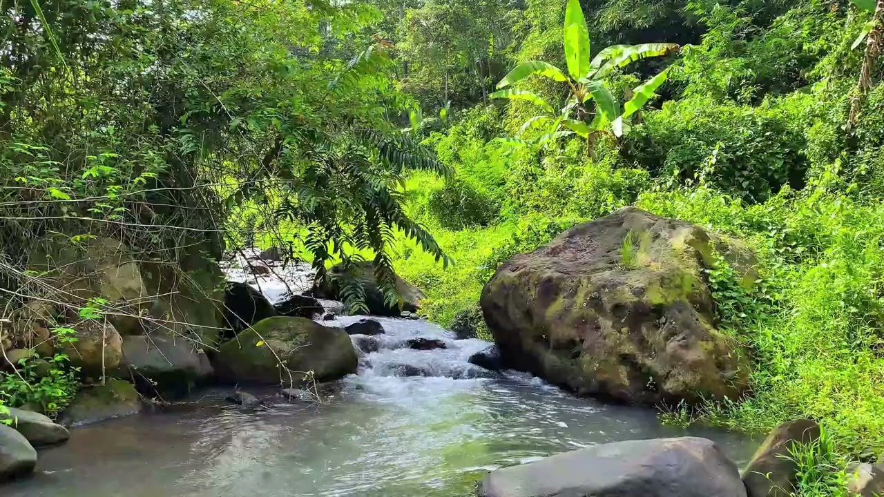 😌 Relax Your Mind 💧 Soft River Stream Flowing Through Calm Green Forest | 4K