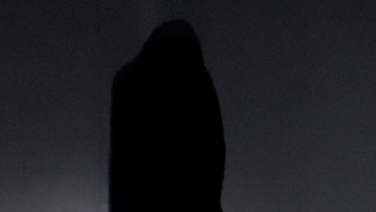 The Stalker (Scary Film)