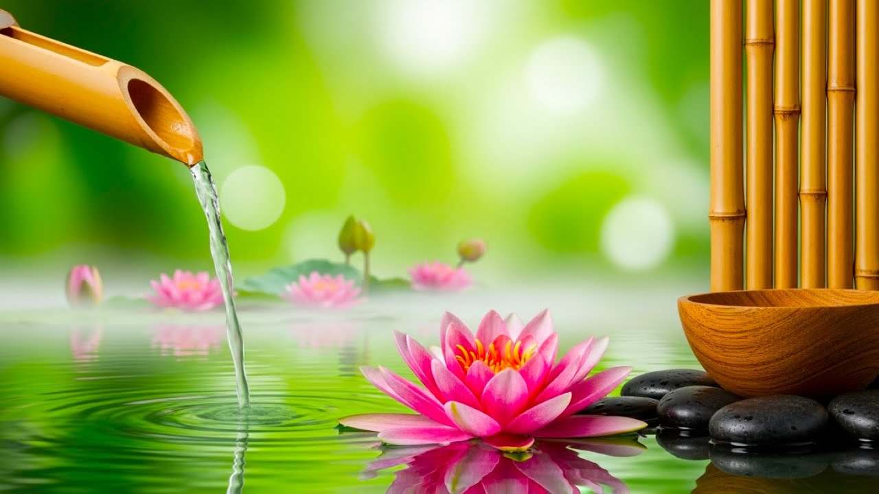 Relaxing Sleep Music with Water Sound 🌿 Relieve Stress, Anxiety & Depression, Calm Mind & Body