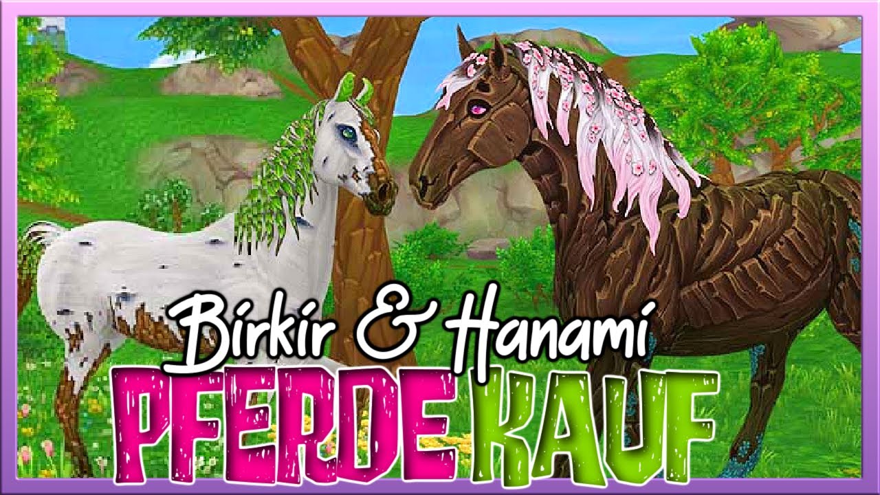 ich KAUFE das *magische Pferd* HANAMI 🦄🌸 Percheron Pferdekauf ✅ SSO