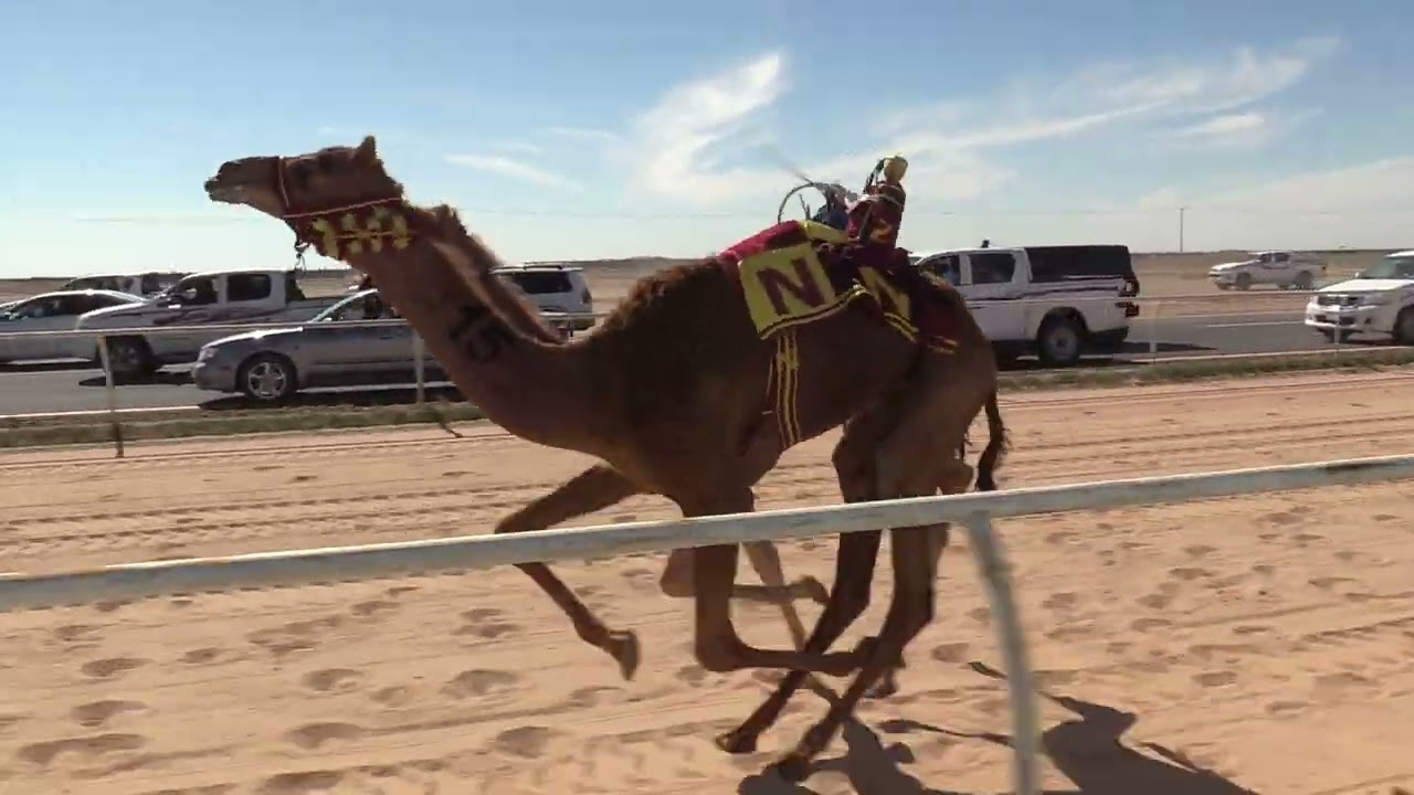 شوط كأس الميدان مفاريد بكار - دوشه ل نايف الخليفي