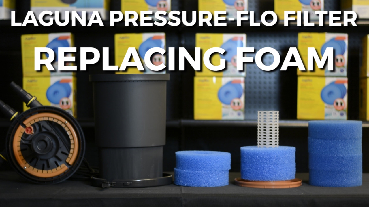 HOW TO REPLACE FOAM FILTERS IN LAGUNA PRESSURE FLO FILTER