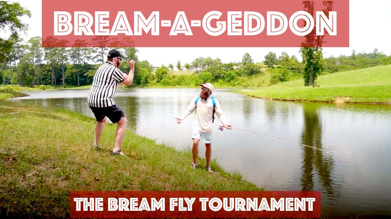 Fly Fishing For Bream & Bluegill Tournament | Breamageddon with @dorsaloutdoors