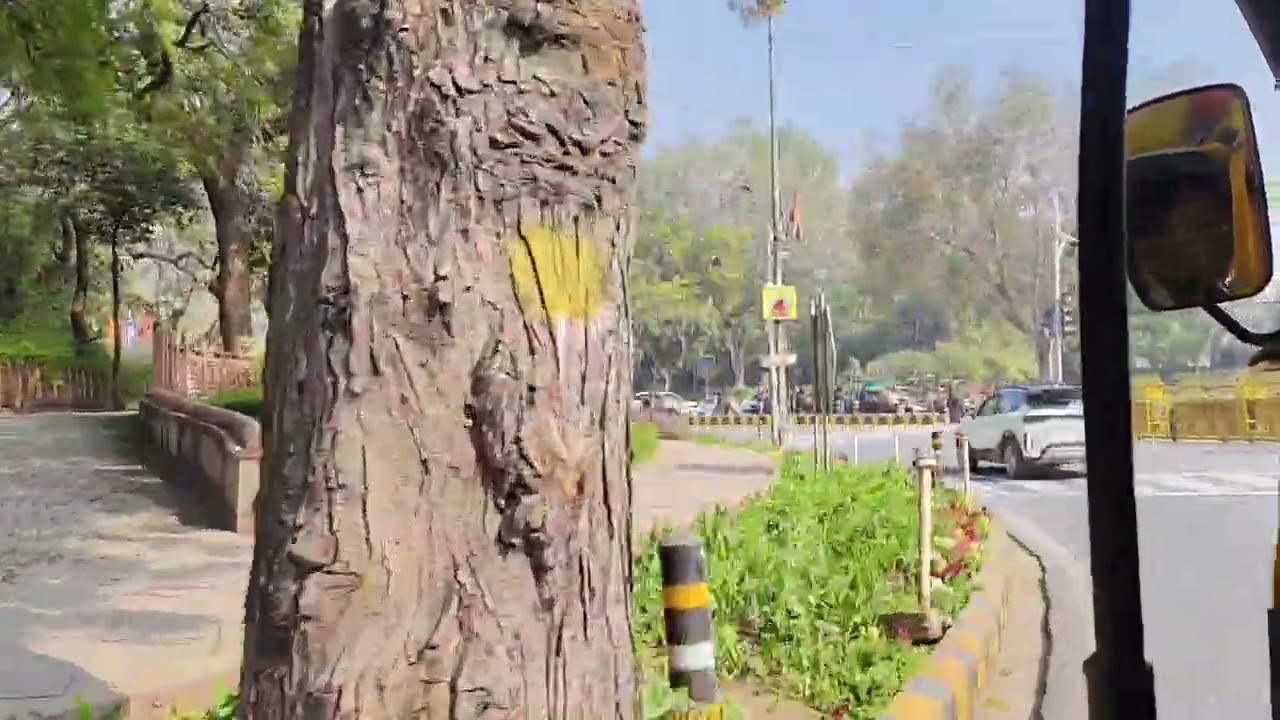 Street view of Delhi from a Auto
