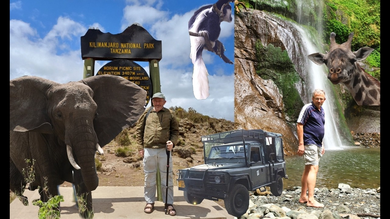 Tanzania 2026, Arusha Nationalpark, Tarangire, Napuru, Longido, Kilimanjaro, Tingatinga, Usa River