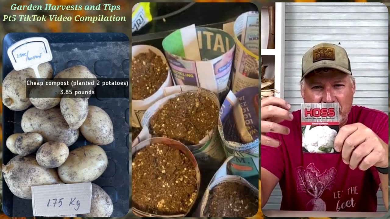 Garden Harvests and Tips Pt5 | TikTok Video Compilation #28