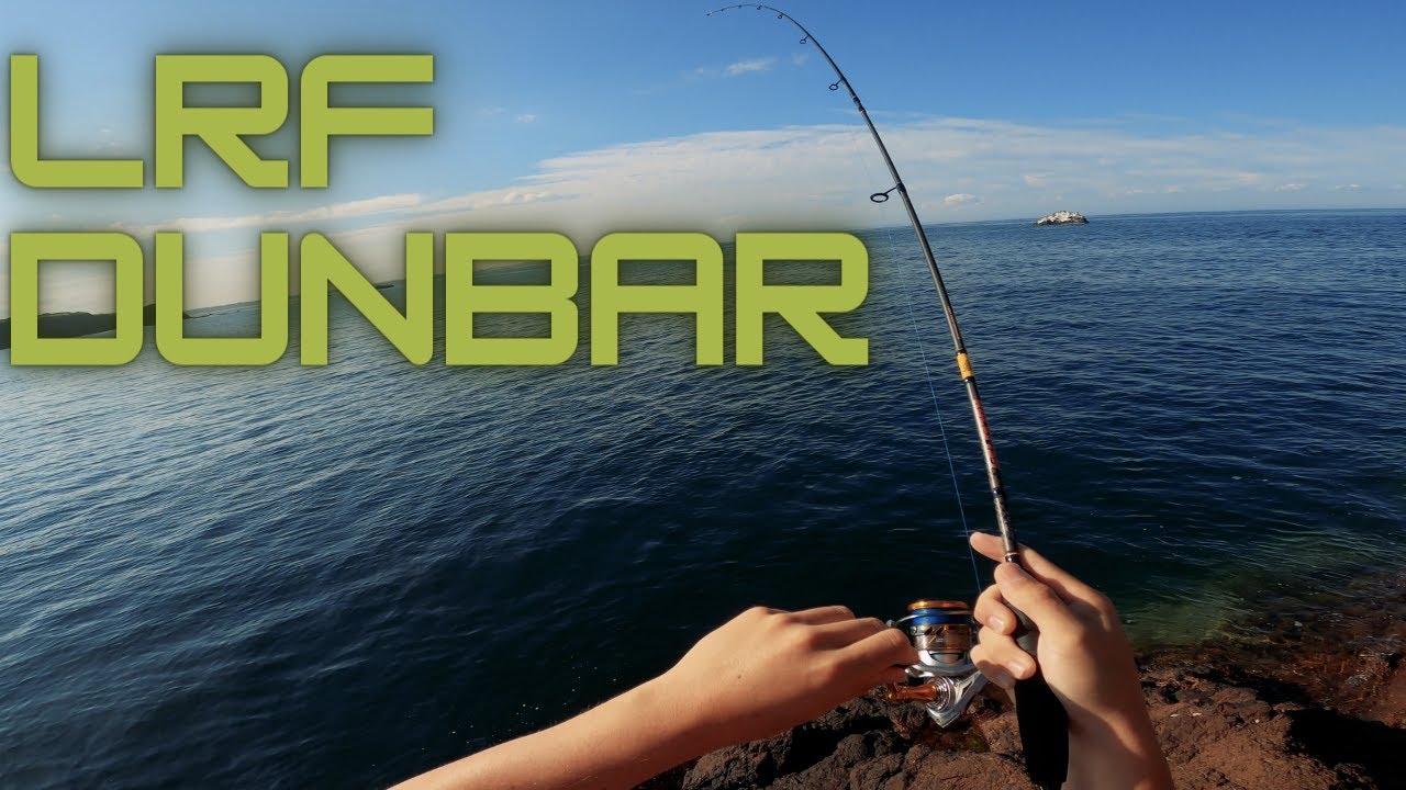 How Many Fish Can I Catch In An Hour? LRF Dunbar Harbour - Multi Species - Fishing in Scotland