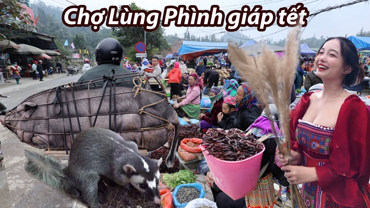 Chợ phiên Lùng Phình những ngày giáp Tết-xuất hiện cả cầy bạc má và rất nhiều dược liệu xuống núi