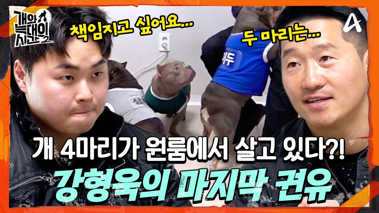 [#개와늑대의시간2] 🚨원룸 살고 있는 개 4마리! 책임지고 키우고 싶다는 초보 보호자? 💧강형욱의 따끔한 권유! 보호자의 선택은? | 개와 늑대의 시간2 11회