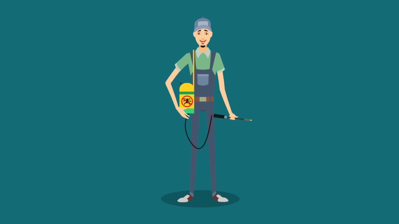 Pest Control Near Me - Cape Town - Call: (087) 551 7006