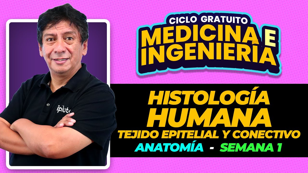 ANATOMÍA | Histología humana: tejido epitelial y tejido conectivo