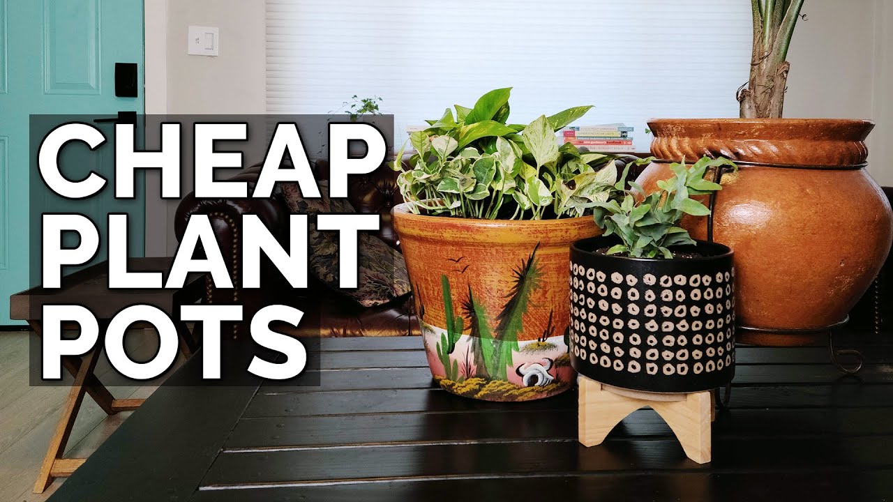 Cheap Plant Pots: Walmart vs. Target vs. Marshalls vs. Consignment Stores!