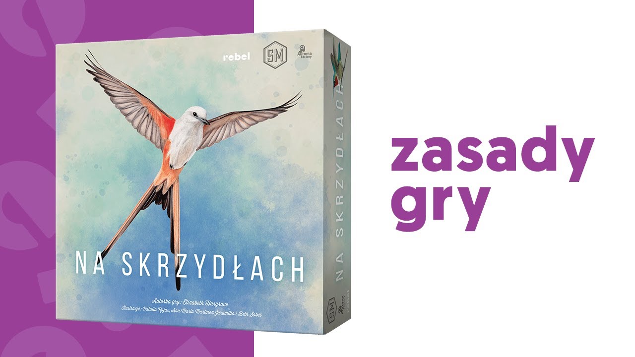 Zasady gry: "Na skrzydłach"