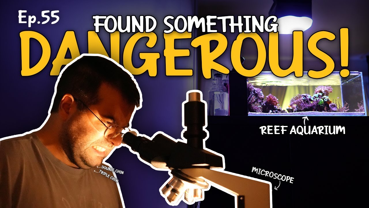 THIS COULD KILL MY REEF TANK AND... me!? | Ep.55