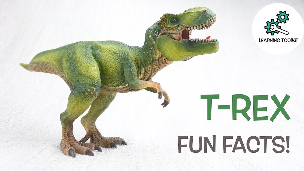 T-REX FACTS! |Fun & Educational | Dinosaurs For Kids | Best Dinosaur Facts