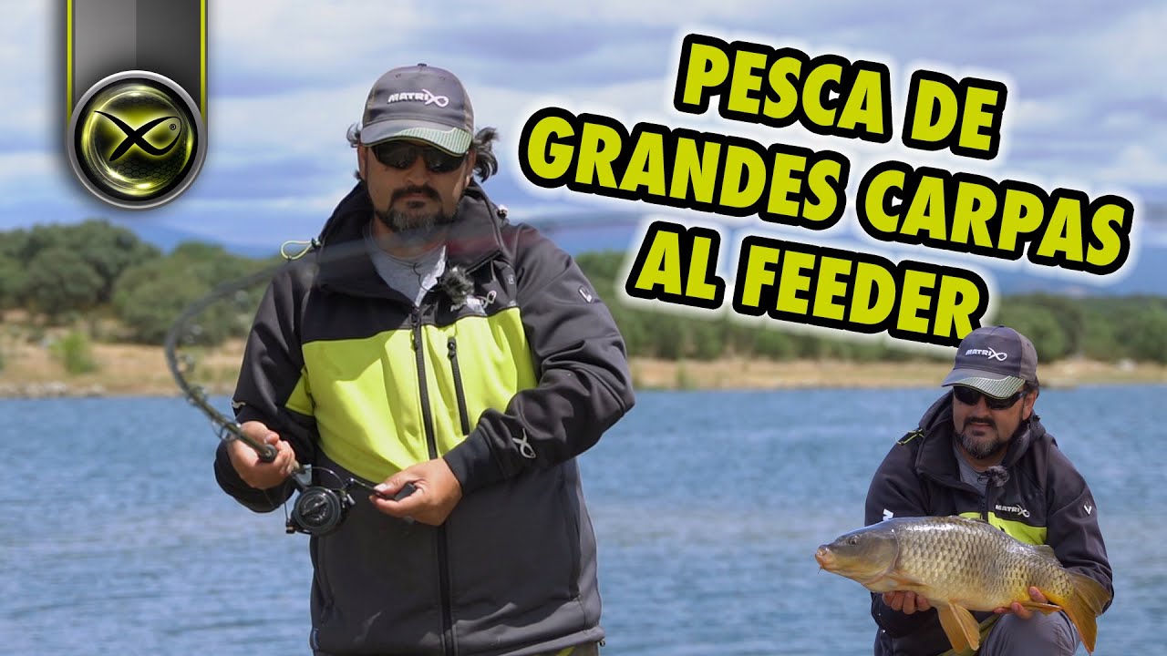 PESCA DE GRANDES CARPAS AL FEEDER EN VALMAYOR