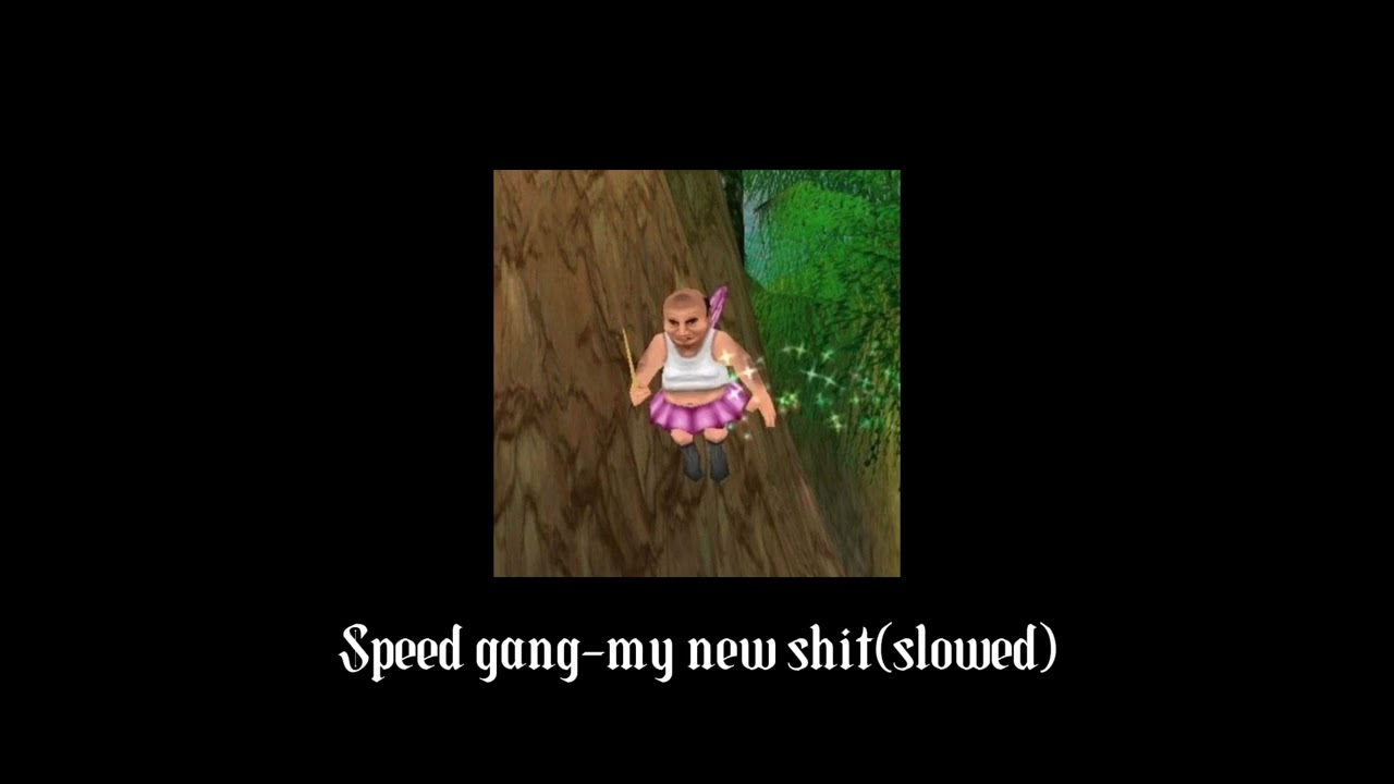Speed gang-my new shit(slowed)