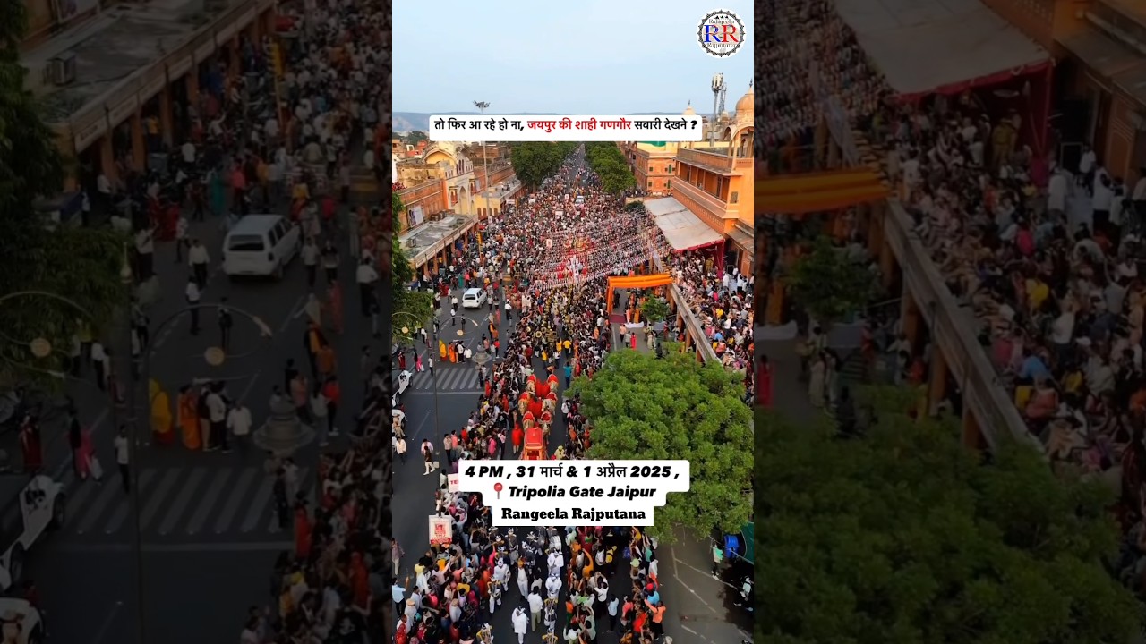 jaipur ki gangor #gangor #shortsfeed #shorts #trending #ytshorts