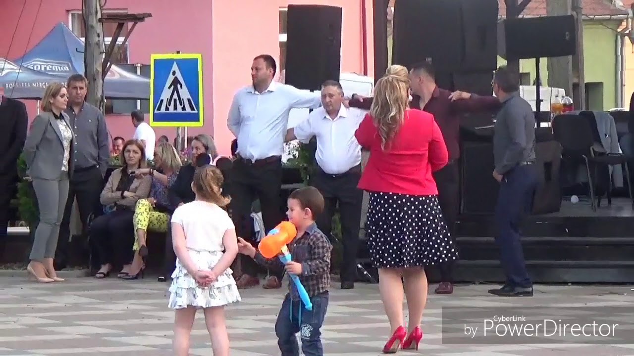 Ruga bănățeană Pojejena 201 HD