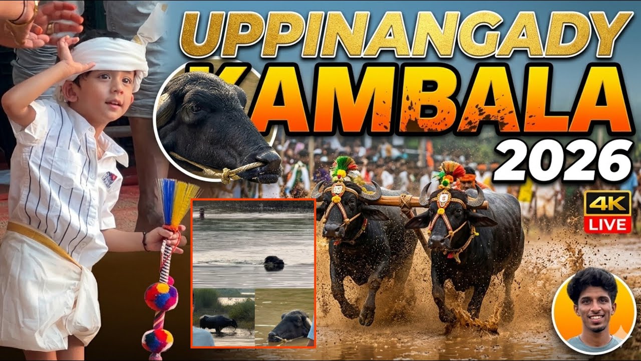 Uppinangady Kambala 🔥 2026 | Speed, Thrill, ಮತ್ತು Tradition! 🐃💨 ಉಪ್ಪಿನಂಗಡಿ ಕಂಬಳ ಫೈನಲ್